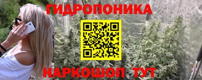 Альфа ПВП Уссурийск