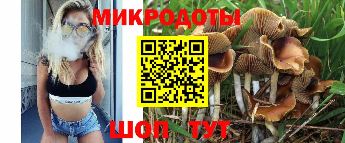 Галлюциногенные грибы Psilocybe Тобольск
