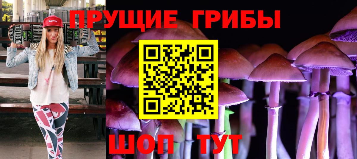 Галлюциногенные грибы Magic Shrooms  Вход с VPN  Галлюциногенные грибы MAGIC MUSHROOMS  магазин    Тобольск 